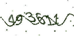 your captcha image